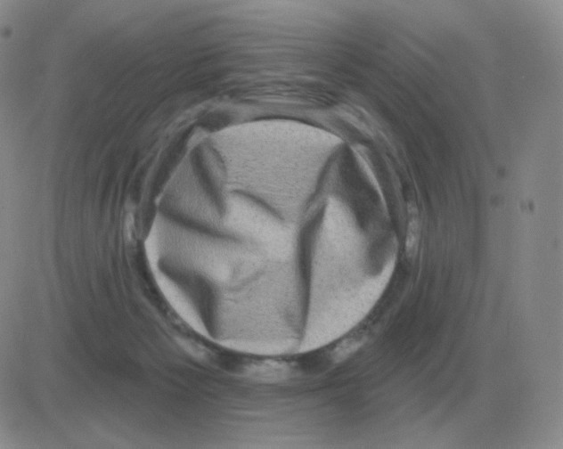 X0000082680125200702232148