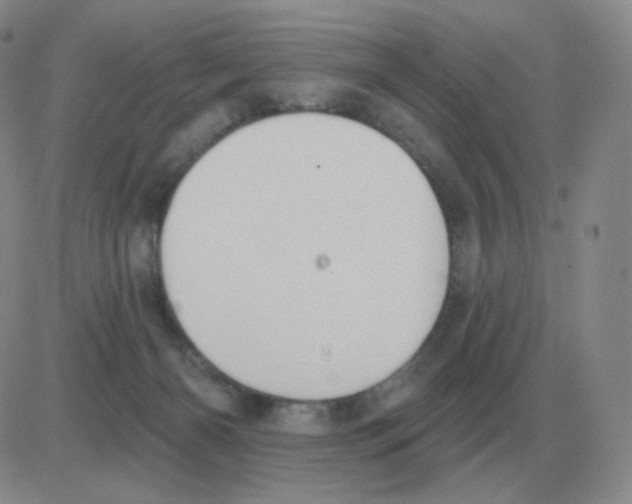 X0000082680126200702232148