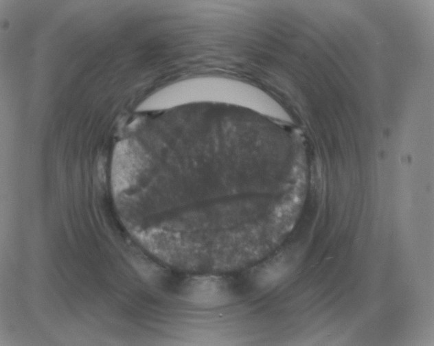 X0000082680127200702232148