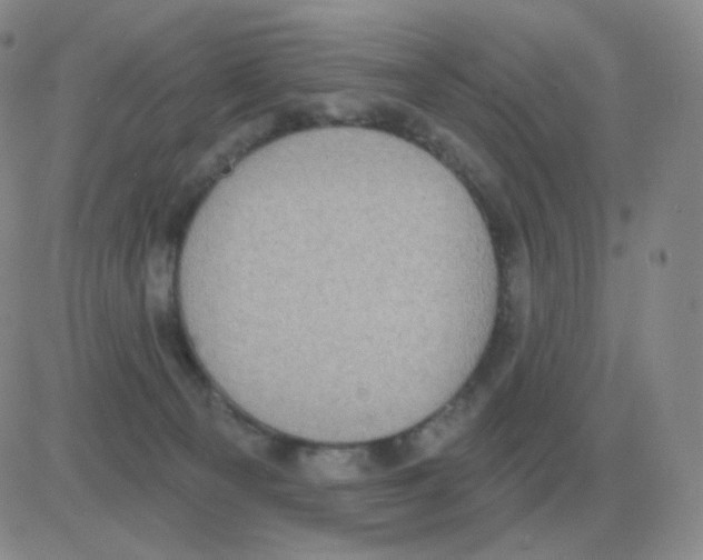 X0000082680129200702232148