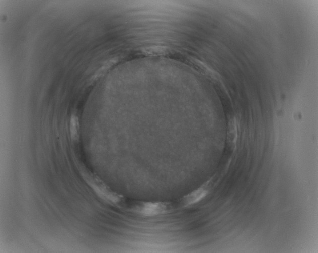 X0000082680130200702232148