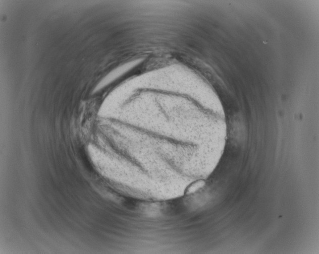 X0000082680131200702232148