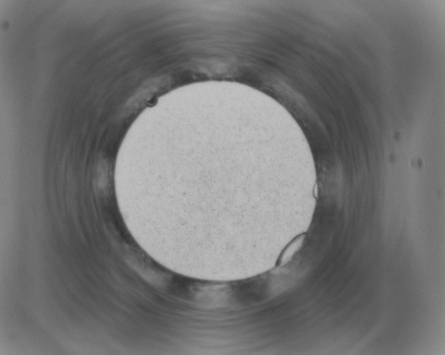 X0000082680132200702232148