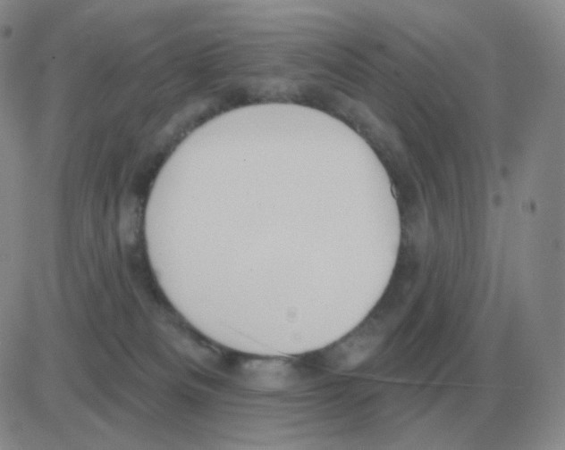 X0000082680133200702232148