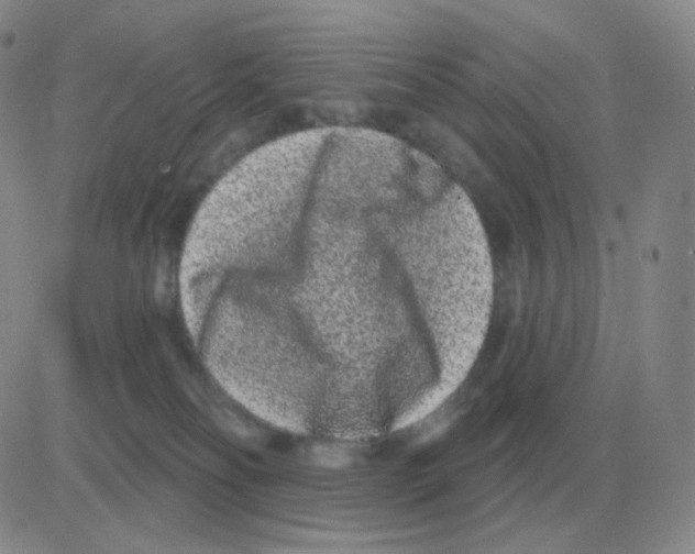 X0000082680134200702232148