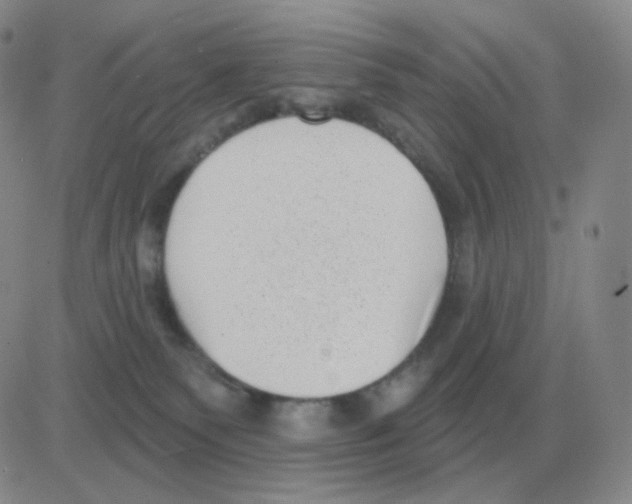 X0000082680135200702232148