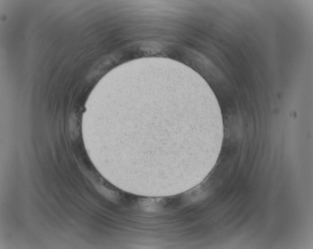 X0000082680136200702232148