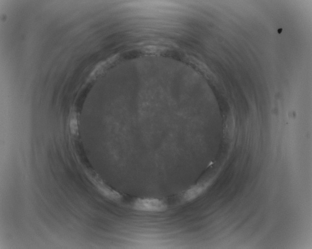 X0000082680137200702232148