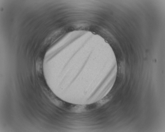 X0000082680138200702232147