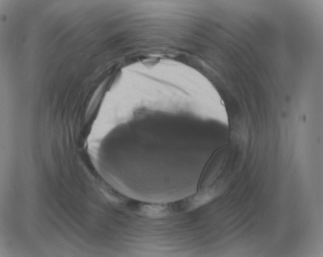 X0000082680139200702232147