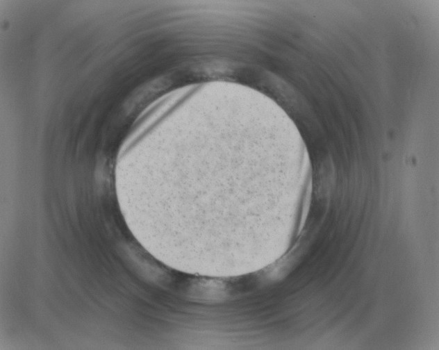 X0000082680140200702232147