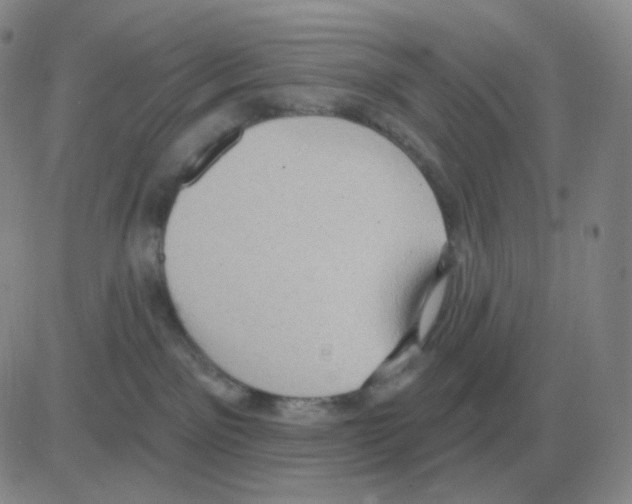 X0000082680141200702232147