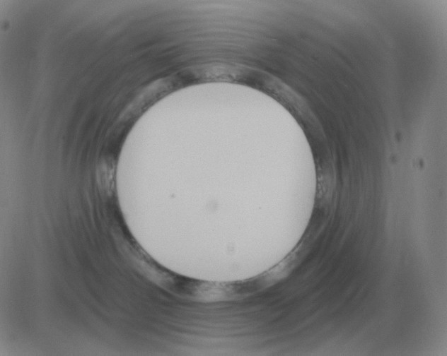 X0000082680142200702232147