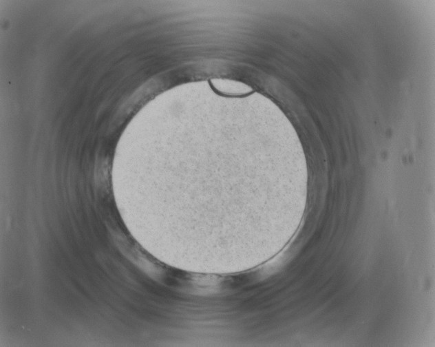 X0000082680144200702232147