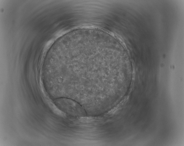 X0000082680145200702232147