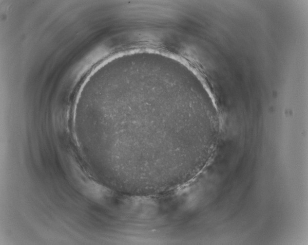 X0000082680146200702232147