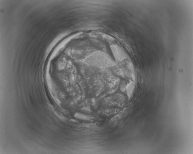 X0000082680147200702232147