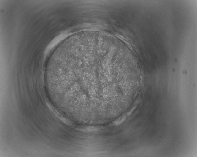 X0000082680149200702232147