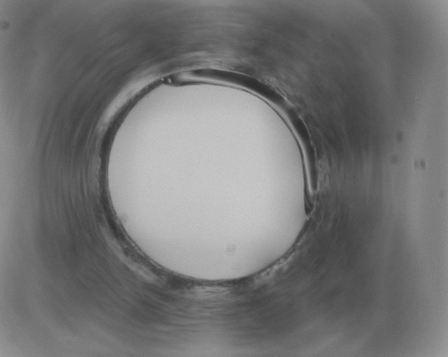 X0000082680150200702232147