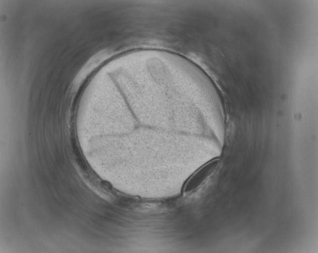 X0000082680151200702232147