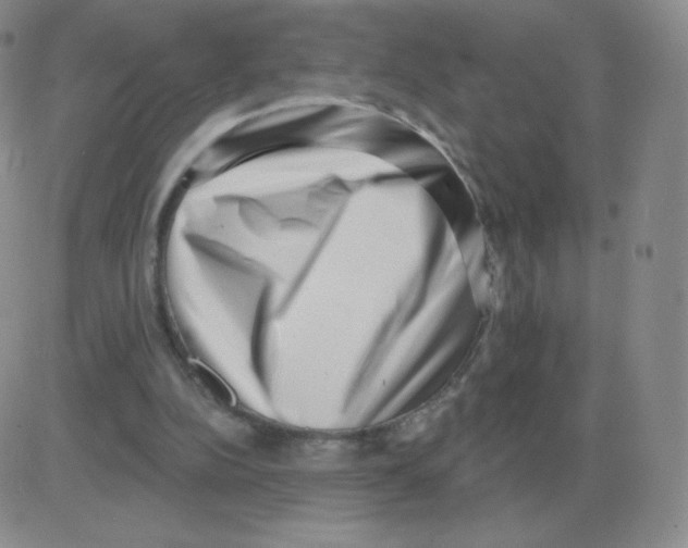 X0000082680152200702232147