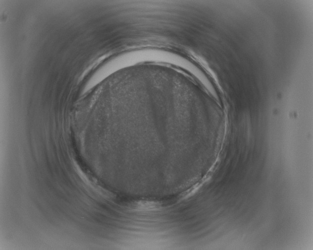 X0000082680154200702232147