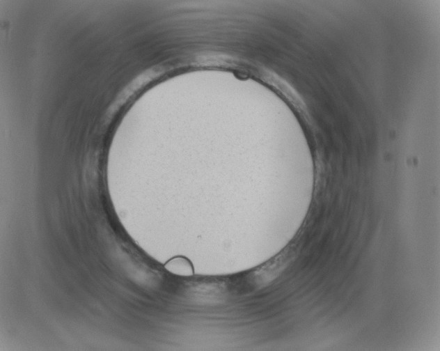 X0000082680155200702232147