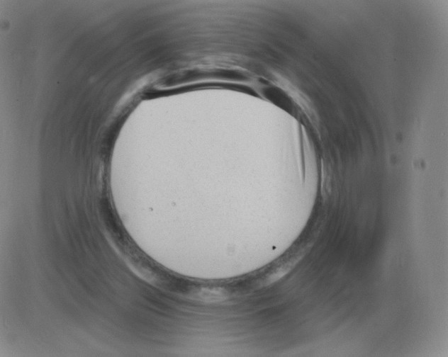 X0000082680157200702232147