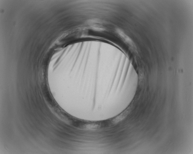 X0000082680158200702232147