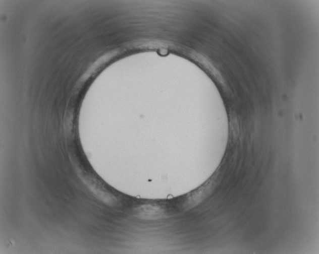 X0000082680159200702232147