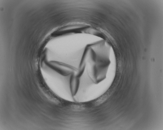 X0000082680160200702232147