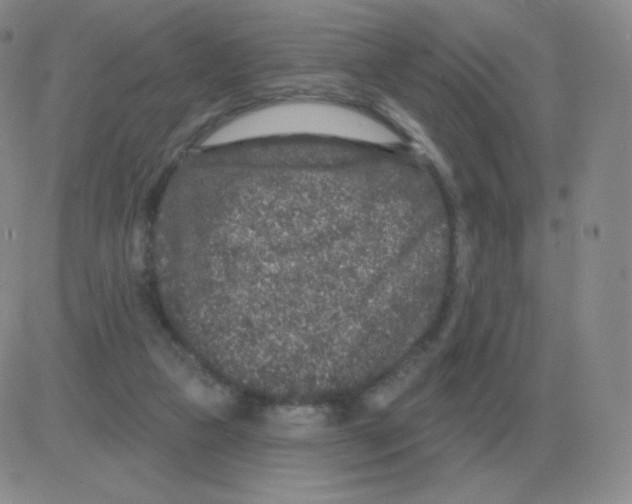 X0000082680161200702232147