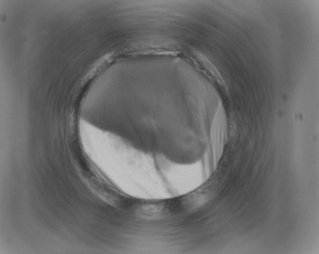 X0000082680163200702232147