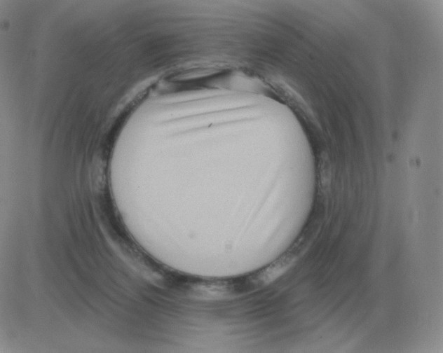 X0000082680164200702232147