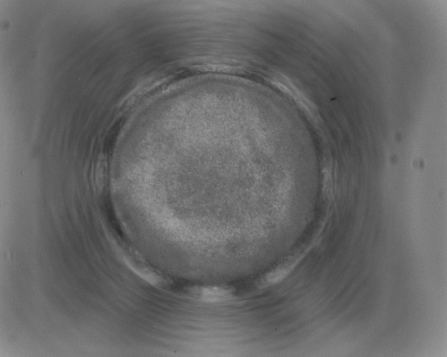 X0000082680165200702232147