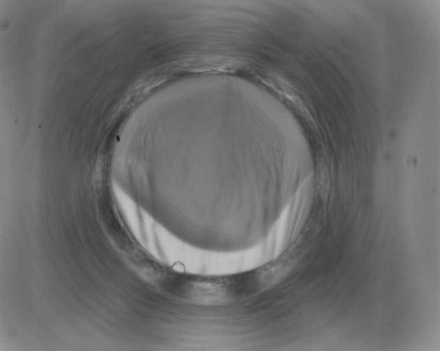 X0000082680167200702232147