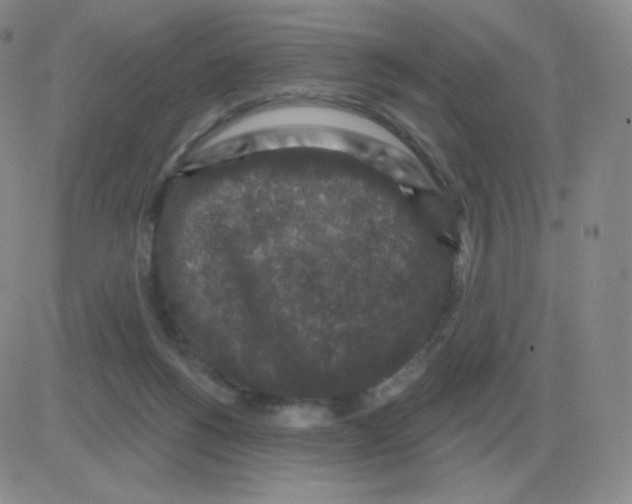 X0000082680168200702232147