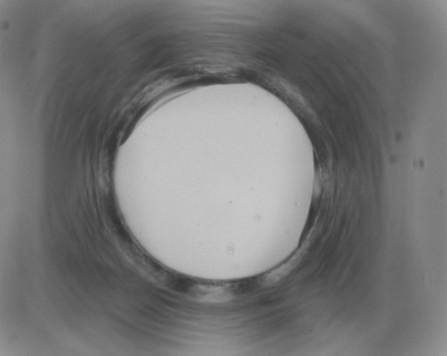 X0000082680170200702232147