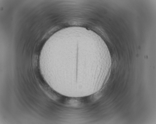 X0000082680171200702232147