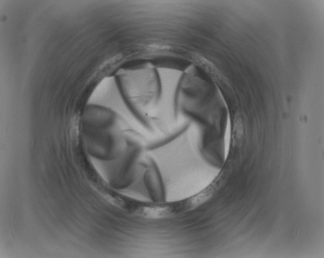 X0000082680172200702232147