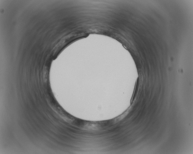 X0000082680174200702232147