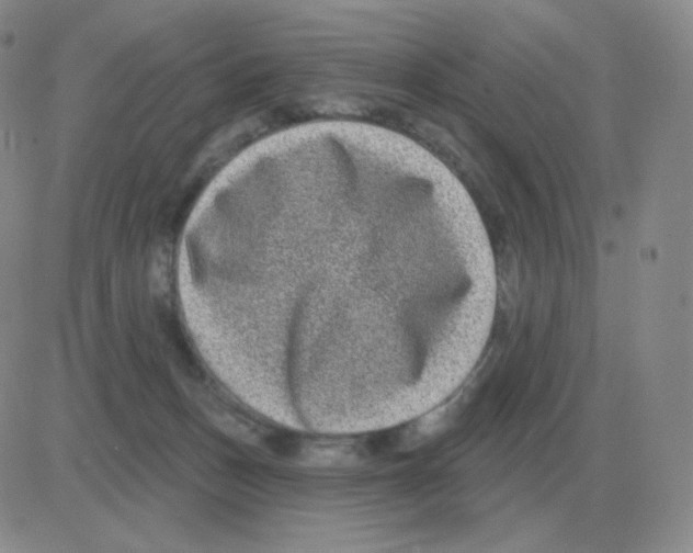 X0000082680175200702232147