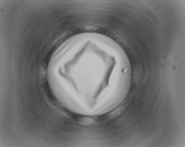 X0000082680176200702232147