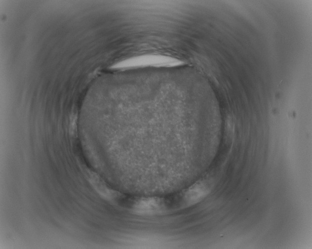 X0000082680177200702232147