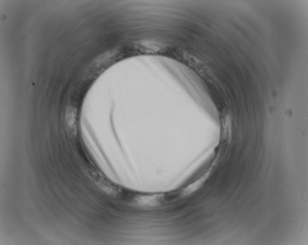 X0000082680178200702232147