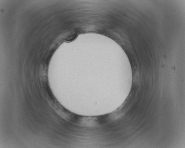 X0000082680179200702232147