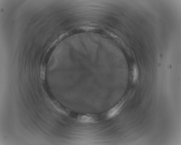 X0000082680180200702232147