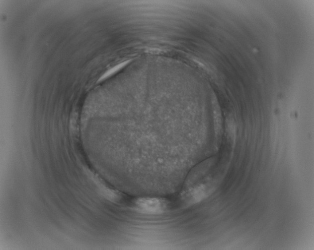 X0000082680181200702232147