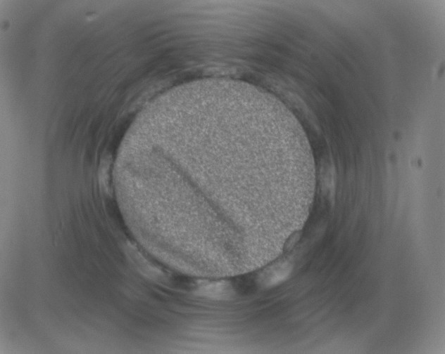 X0000082680185200702232147