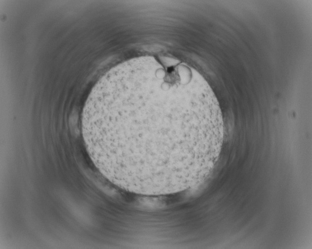 X0000082680187200702232147